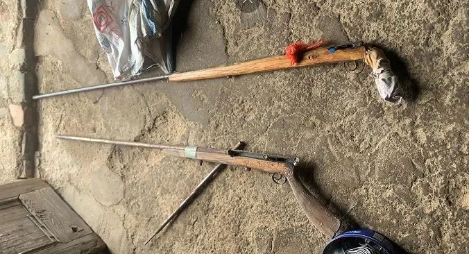 新狗进口货竟是枪支买卖暗语合肥警方打掉2个网络贩枪团伙