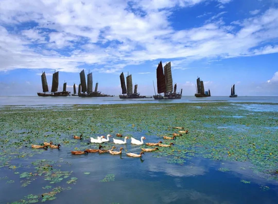 将太湖湾科创带打造为高质量发展最强引擎以科创之名无锡再下先手棋