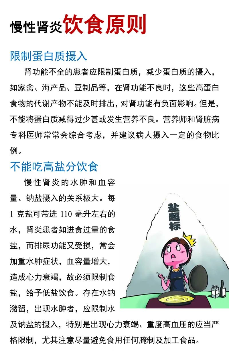 慢性肾炎饮食原则肾脏健康管理手册