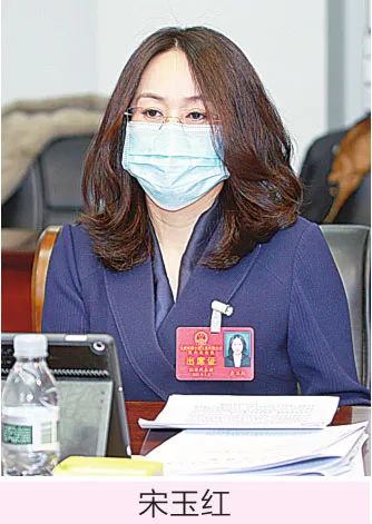 做好"四篇文章" 建设幸福新红岗市人大代表,红岗区区长宋玉红说龙凤区