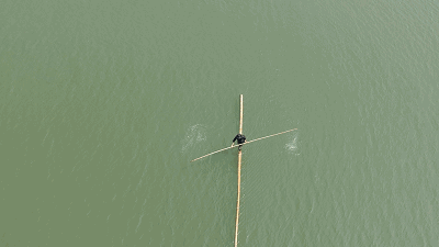 一苇渡江还有极静,极动的盘鼓,乐队演出,小丑,杂技孔雀舞