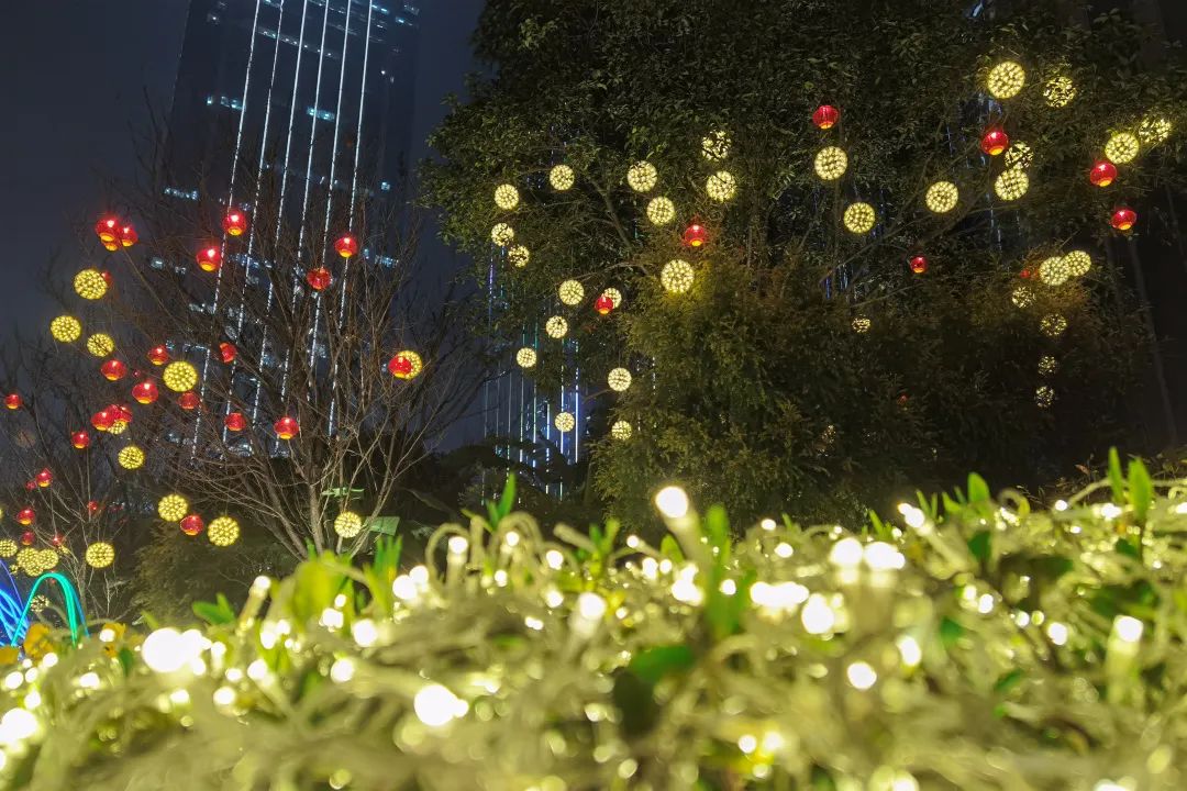 满城星光满城灯璀璨渝北等你回家