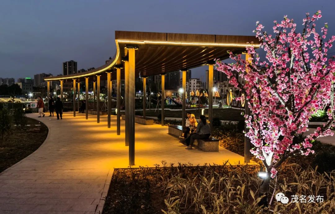站南公园对外开放啦!一场"灯"和"花"的盛宴正在上演