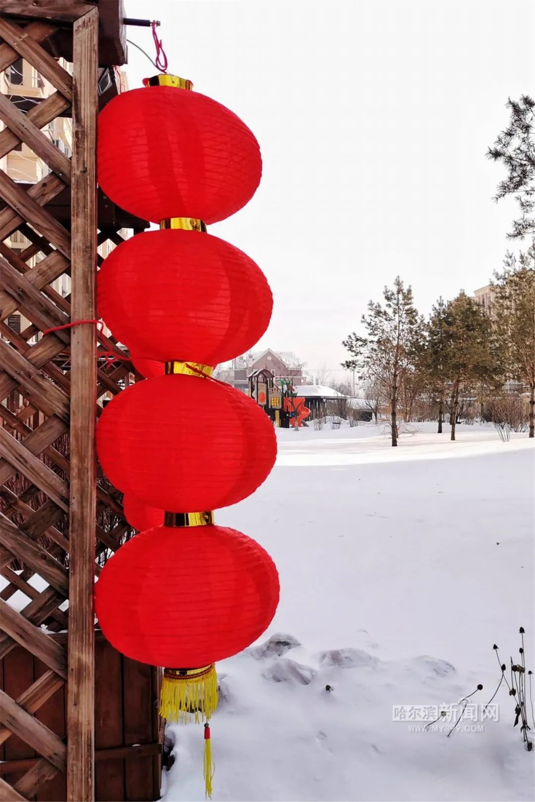 为冬奥会加油为新时代中国喝彩丨魅力冰雪摄影大赛集中展示火热来袭