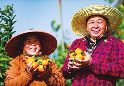 积力聚众智脱贫奔小康广西奋力打赢脱贫攻坚战