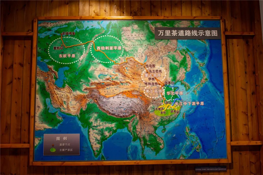 中国青砖茶博物馆走茶旅探馆藏穿越千年闻赤壁茶香