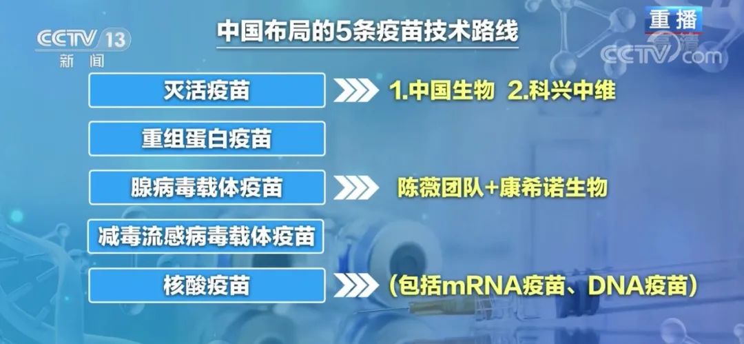意大利多少人口打新冠疫苗_意大利人口细分图(2)