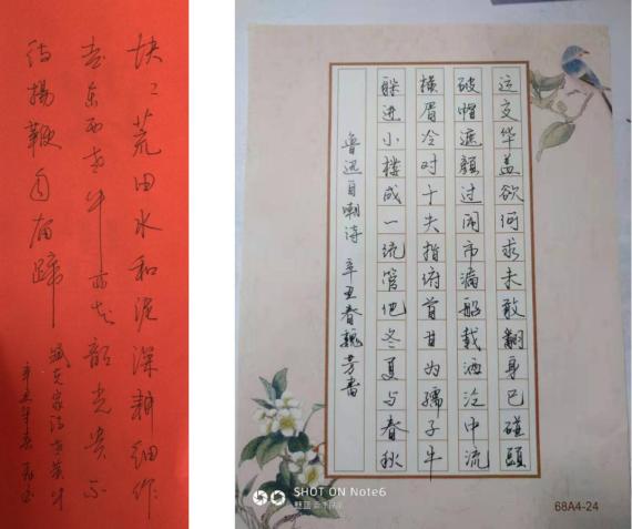 【牛年创意秀】榴乡党办给大家拜年了!