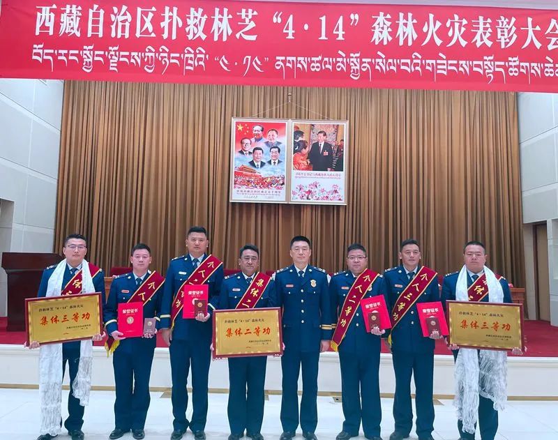 扑救林芝414森林火灾西藏消防救援总队6个集体15名个人荣获奖励