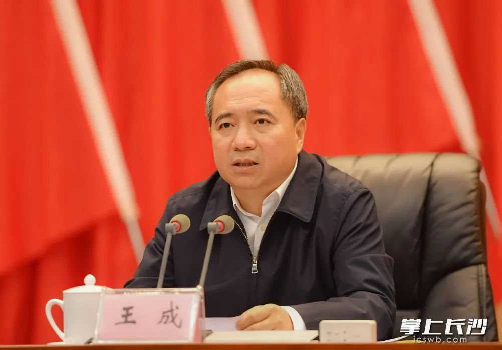 建好"示范区" 奋力开创新时代长沙高质量发展新局面 王成出席并讲话