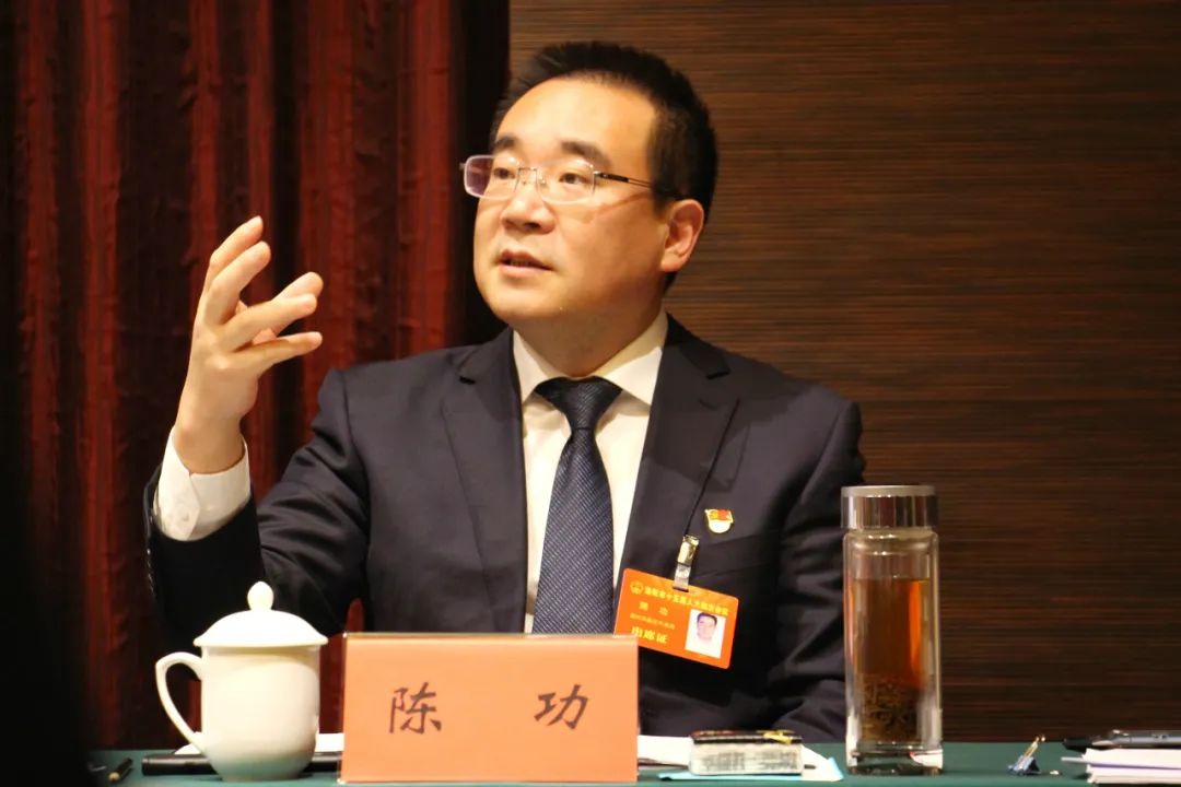 人大代表陈功产城人融合发展助推都市圈建设打造现代化美丽新瀍河
