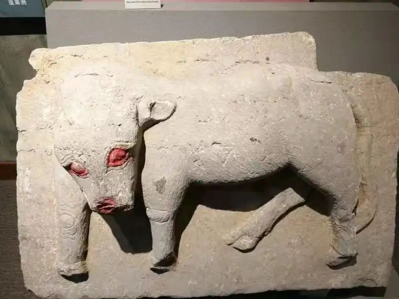 牛年说牛镇水石牛见证时光变迁