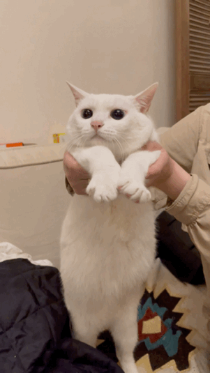 dou来云拜年网友都在跳的拜年舞你还没看过吗