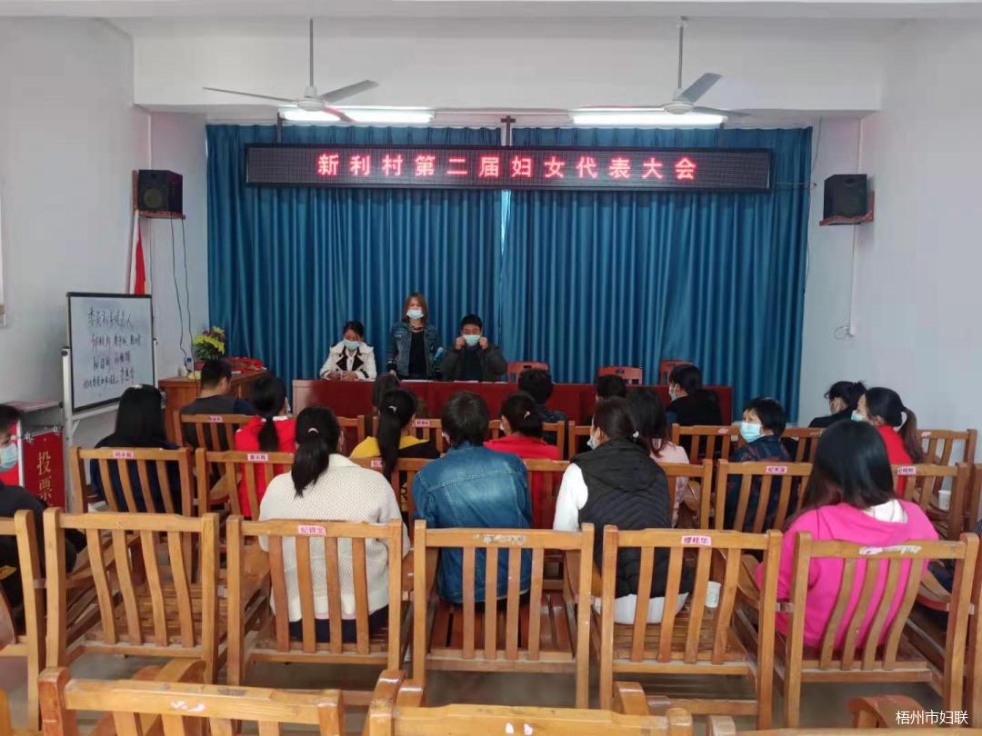 妇联换届进行时龙圩区妇联指导村社区妇联换届选举工作