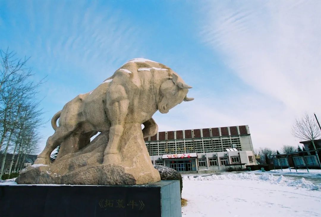 拜年啦中國政法大學祝您牛年大吉