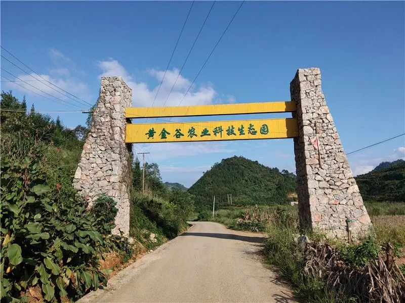 就地过年跟着地图游文山富宁过一个柔情似水的假日
