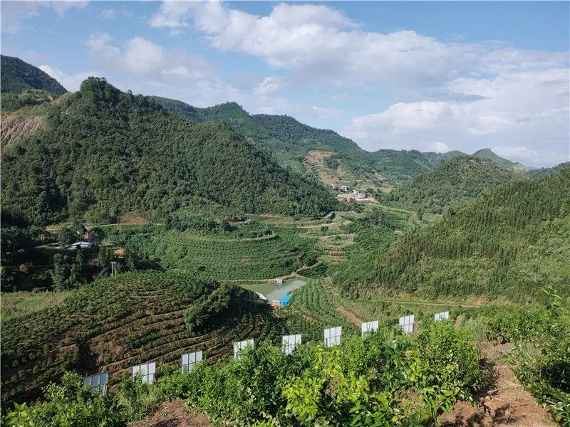 就地过年跟着地图游文山富宁过一个柔情似水的假日