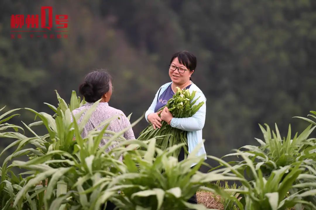 独家连线柳州女村官走上春晚背后的故事令人泪目