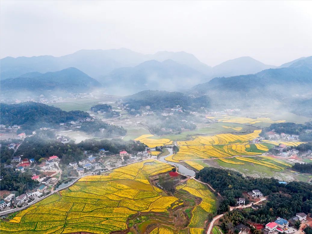 望城最美小镇集体亮相啦每走一步都是风景哦