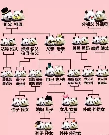 春节习俗系列丨大年初一拜年迎新春