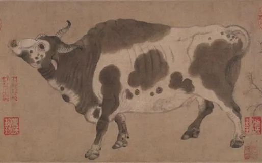 这个c位,大写的牛!