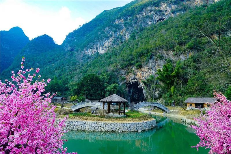 太守发朋友圈桃花源找到了在坝美明天开放