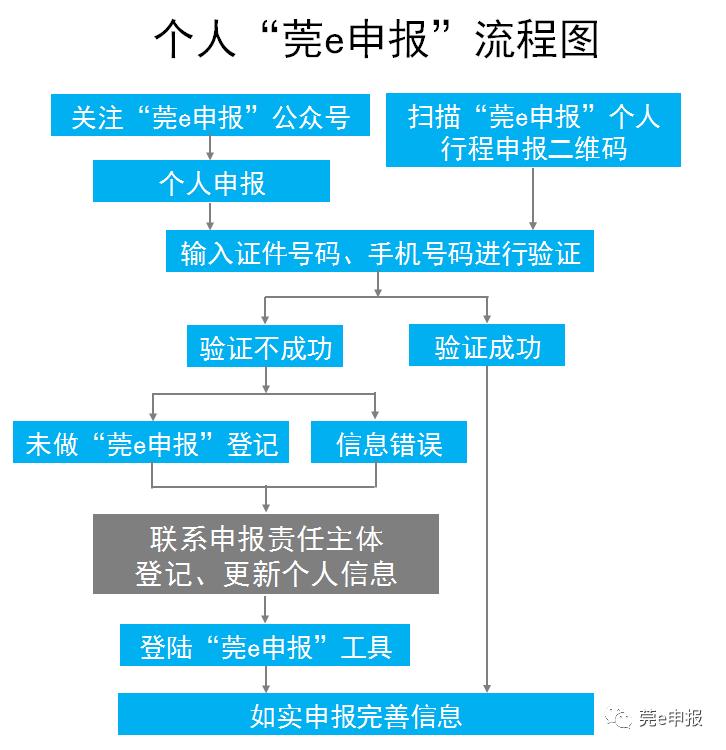 莞e申报个人申报图片