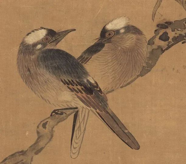 亲密无间一枝古柳,两只白头鸦北宋 赵佶 《柳鸦芦雁图》(局部)栖息在