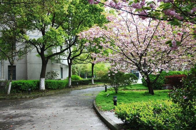 校园美景一键收藏这些宝山学校喜获上海市花园单位称号
