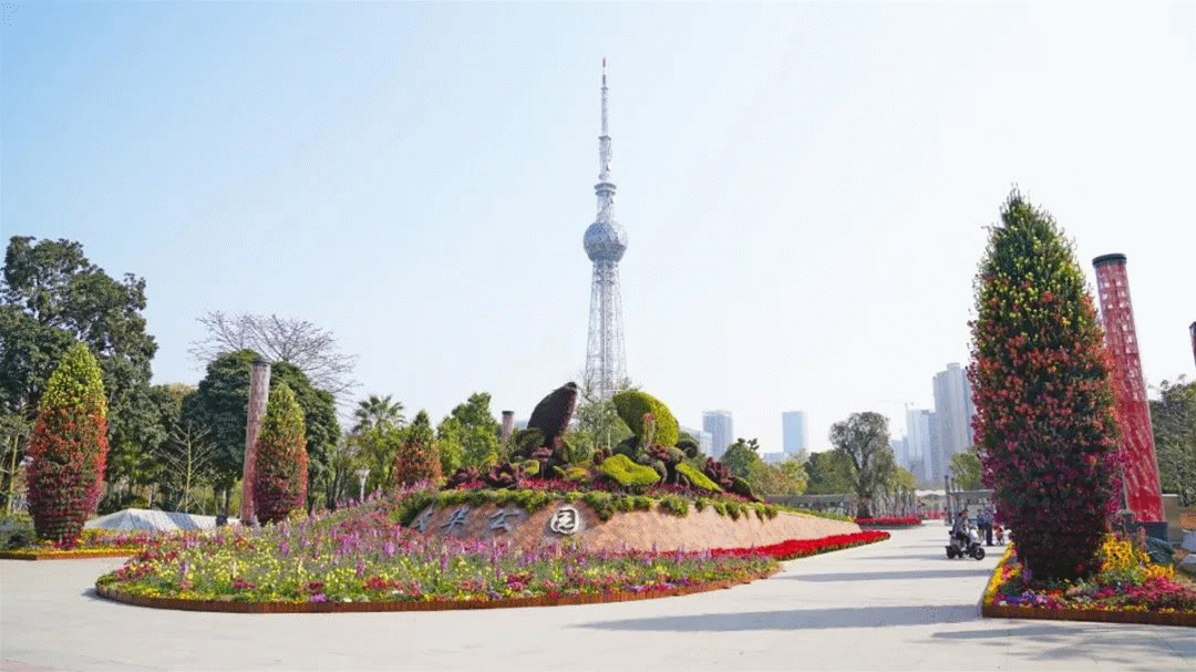 满屏花海佛山各大公园美翻了处处堪称凡尔赛花园