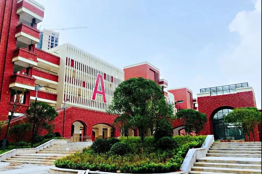 逐个看望城这些学校是你心中的最美校园吗