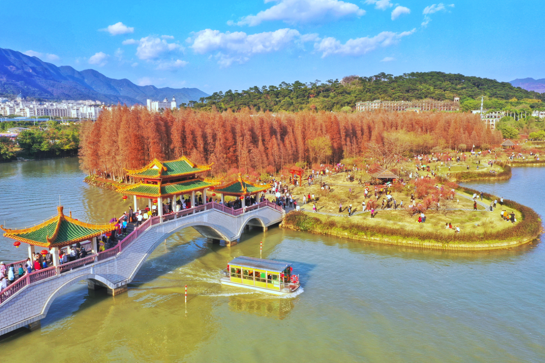 肇庆牌坊公园梨花盛开,靓绝端城!