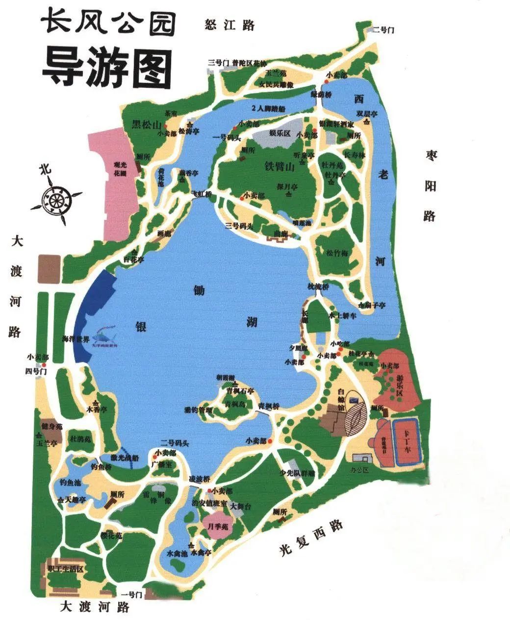 偷偷告诉你公园里随处可见的小雏菊和小绣球非常上镜哦~进入长风公园