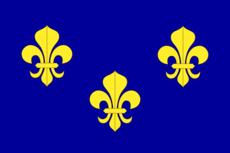 法国百合花旗图片