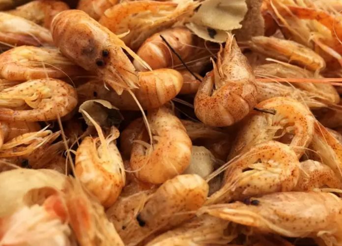 莱州桃花虾上市了!鲜(xuan)!价格.