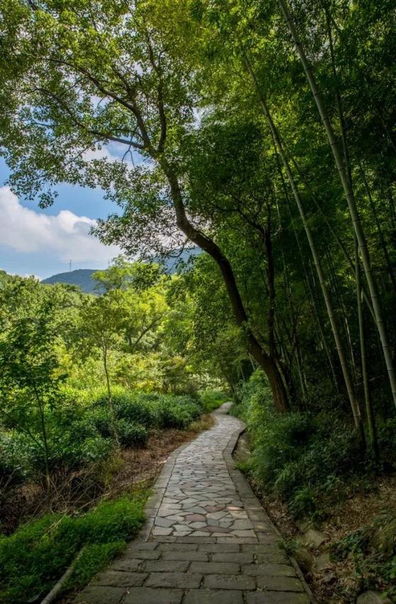 春节假期即将结束美丽北仑的这些游步道去过吗