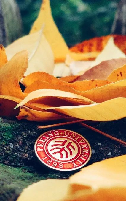 定格他们最珍爱的北大风光