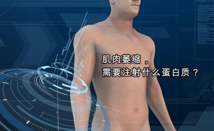 肌肉萎縮，需要注射什么蛋白質(zhì)？