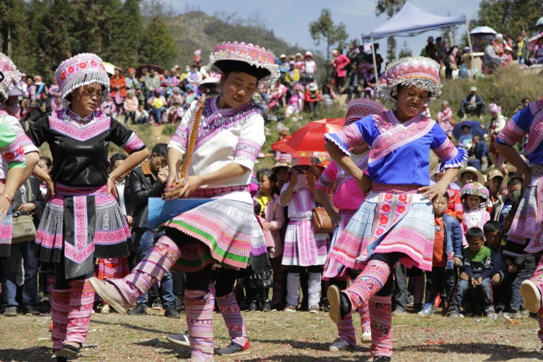 醉美屏边花山节还有哪些有趣的苗族民间传统活动一起来看看