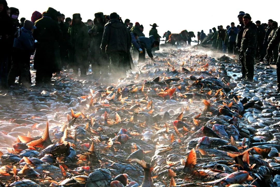 云游松原领略渔猎文化的魅力