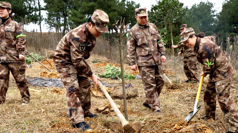 据自然资源局有关负责人罗小棋介绍,近年来,修文县通过退耕还林,人工