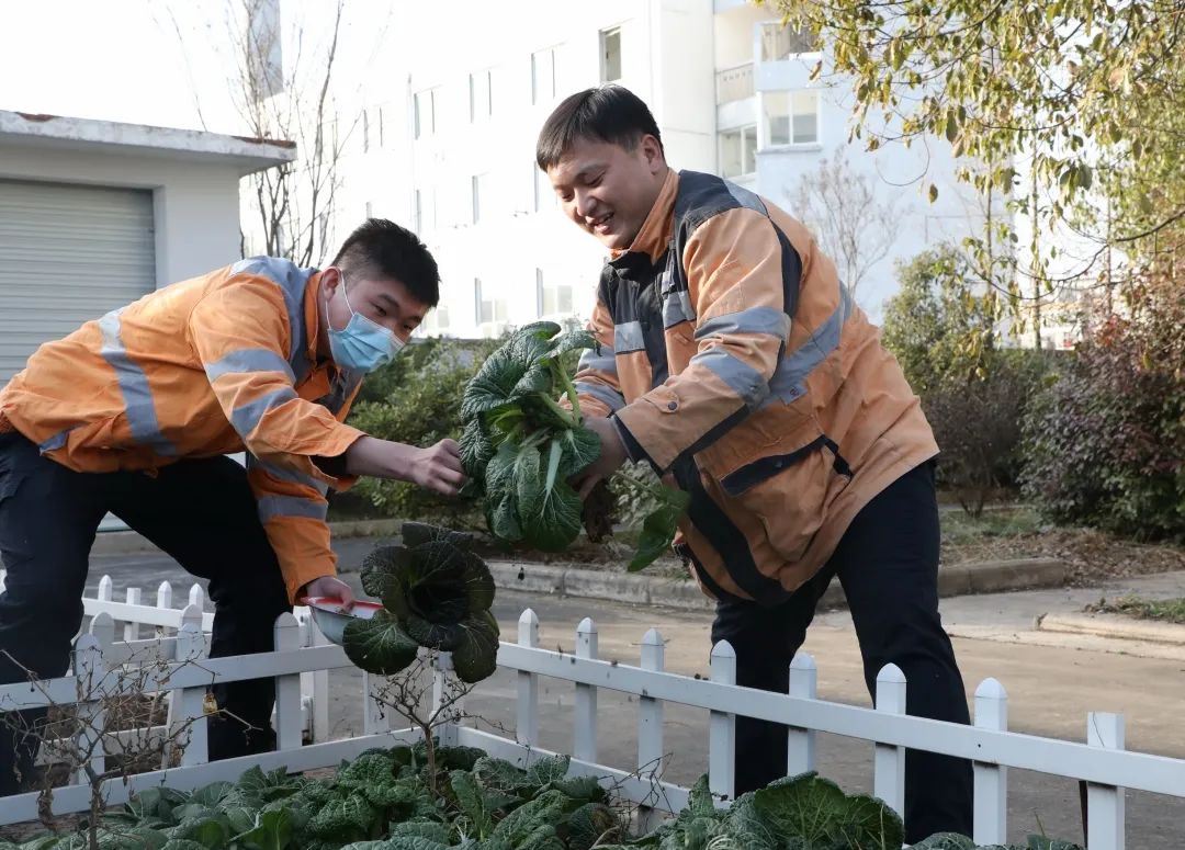 在六安电力工区,像孙鼎和吴嘉威一样积极响应"就地