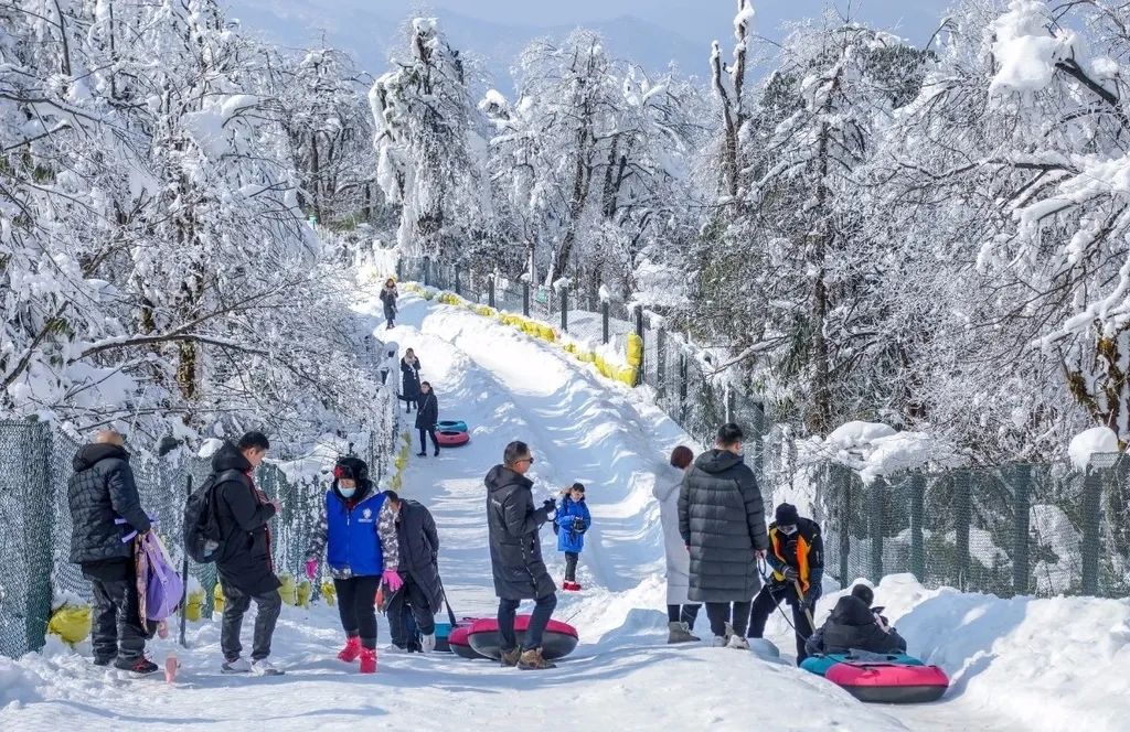 数钱啦!四川春节旅游福建大专院校成绩单出炉,各地进账多少?