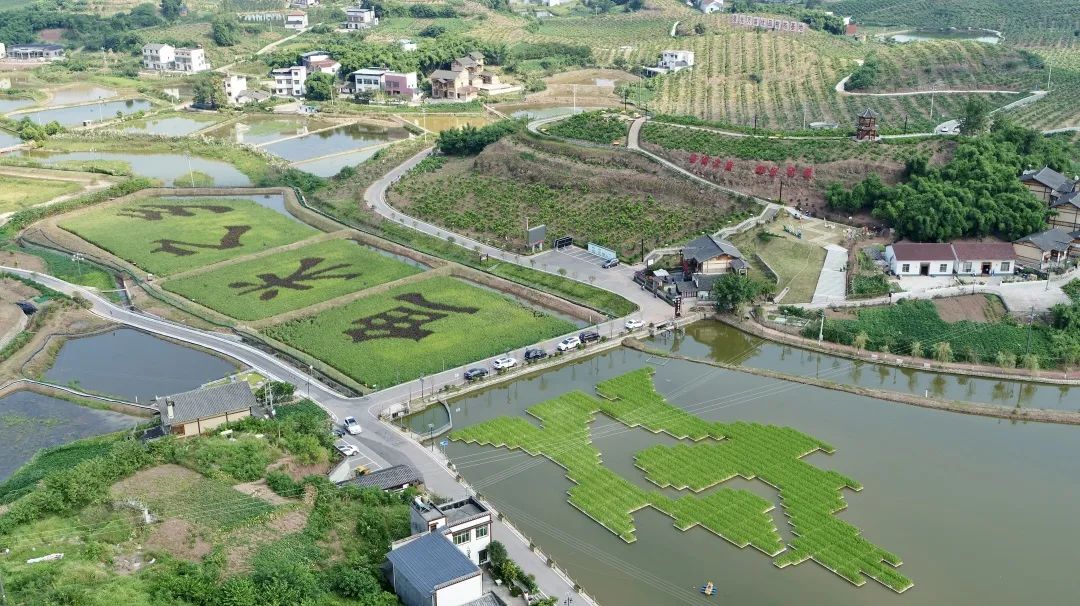 双昌产业大道农高区隆昌牛年的打开方式有点牛