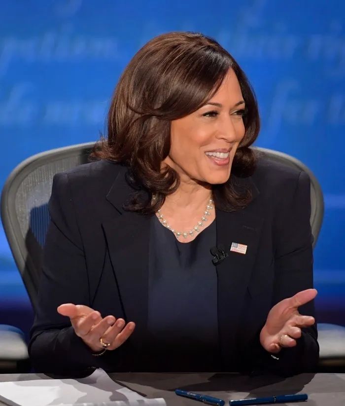 穿匡威帆布鞋戴珍珠她靠自己一路打拼成为美国史上首位女副总统