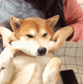 291_295gif 动态图 动图