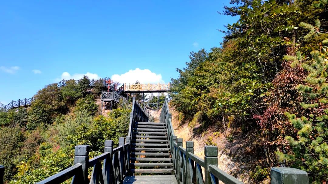 银杉森林公园据县文化广电和旅游局统计,今年"春节"黄金周,我县共