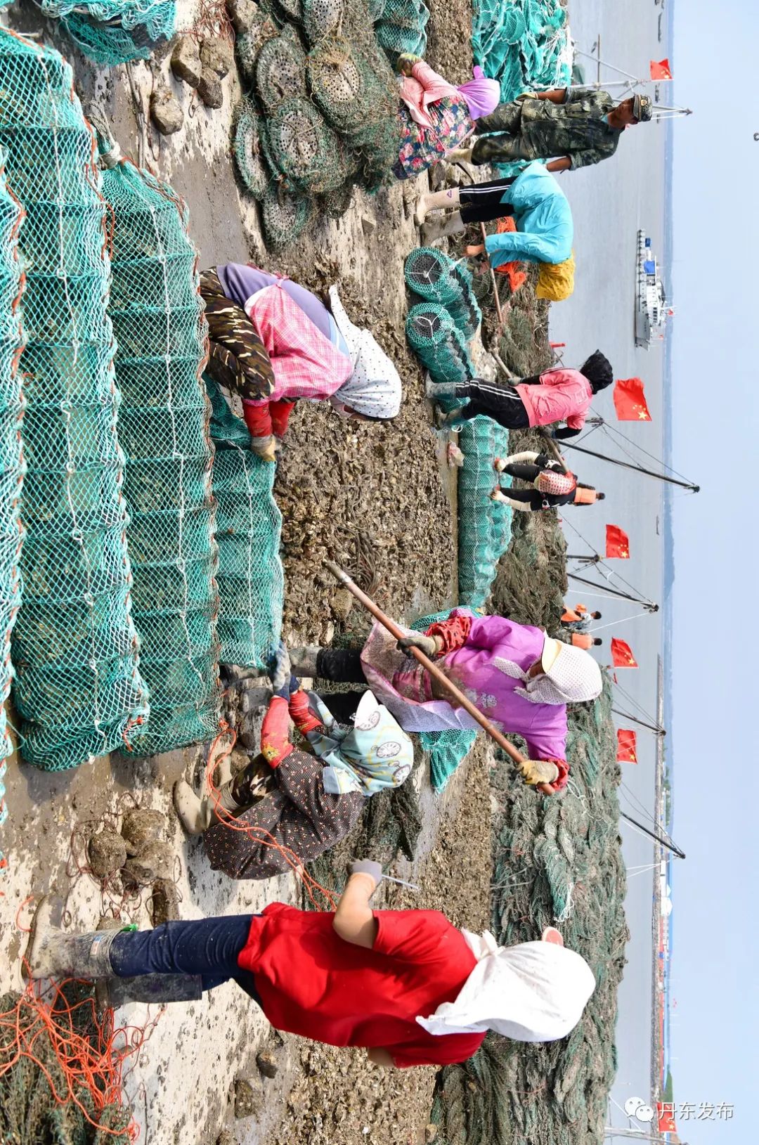 图说小康长卷希望的田野