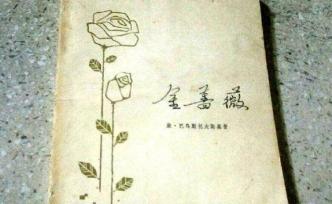 我心中的金薔薇 ?