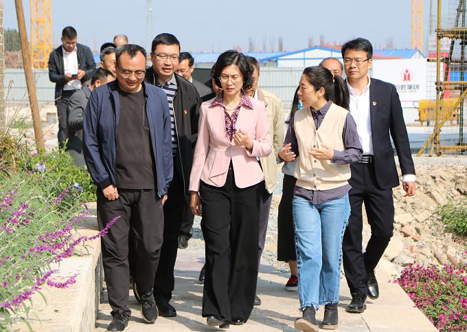 吴晓晖到开平市调研工作打造高水平产业载体推动产业集聚发展